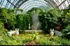 Оранжерея Таврического сада «Цветы»
